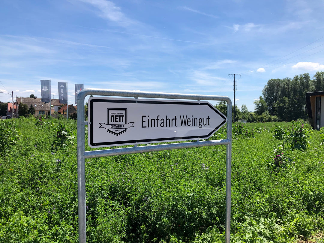 Weingut Bergdolt-Reif & Nett - Tradition und Passion Wein