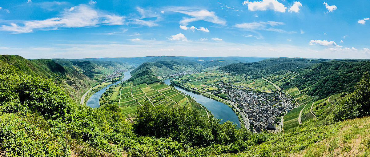 Weine aus Deutschland